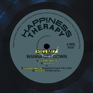 Big Miz - Wanna Get Down - EP VINILO