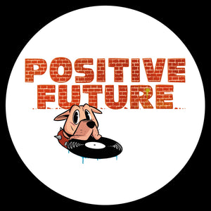 DMC - Introspection EP VINILO
