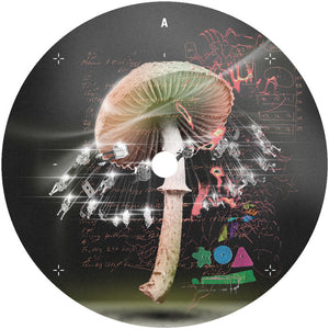 Lusu - Move 2 The Groove