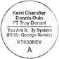 Kerri Chandler & Dennis Quin feat. Troy Denari - You Are In My System (Philip George Remix)